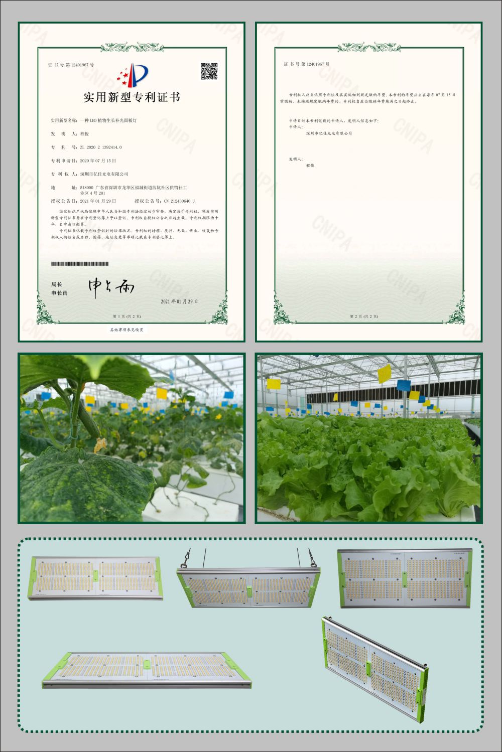 兰科博弈RankBet植物成长面板灯实用新型专利